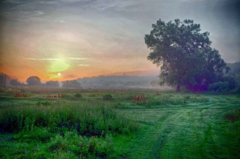 Morgendämmerung / ***