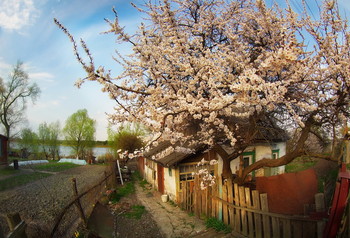 über den Frühling / ***