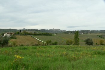 Toskana / ***