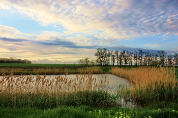 Am Teich ... / ***