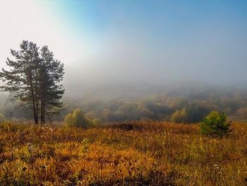 Morgennebel / ***