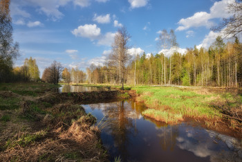 Frühlingslandschaft / ***