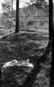 &nbsp; / --------_____-