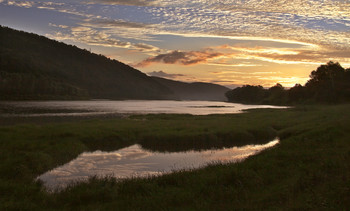 Reflexion der Feder / ---