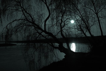 Moonlight. / ***