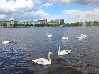 Alster Hamburg / ***