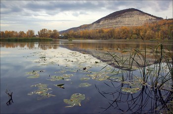 Herbst / ...