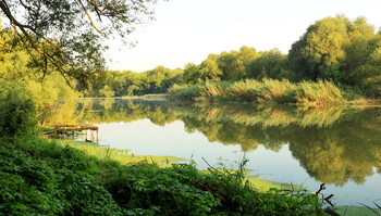 Morgen Landschaft / ***