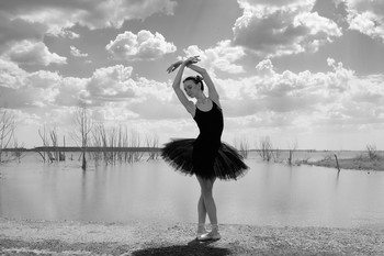 Black Swan / ***