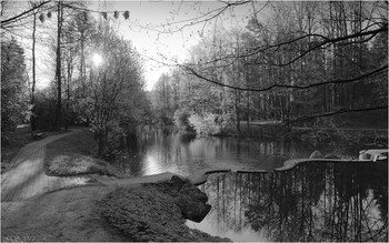 Morgen in den Park / ***