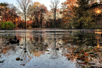 Herbst / ***