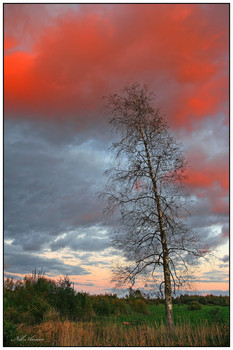 lila Sonnenuntergang / ***