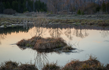 Islet ... / ***