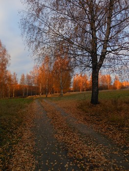 Herbstabend / ***