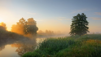 Sommermorgen / ***