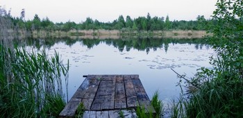 Abend auf dem See / ***