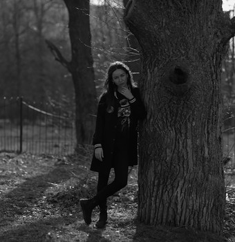 &nbsp; / Kodak TM-100