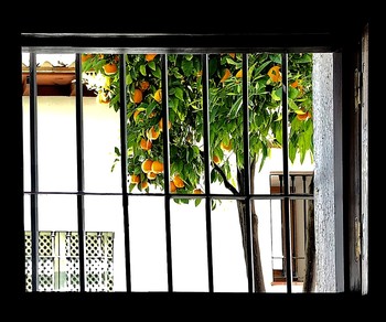 Fenster / ...