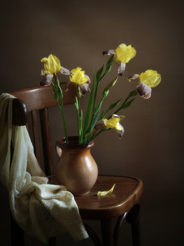 Schwertlilien / 2019