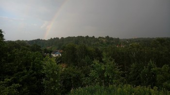 Nach dem Regen / ***