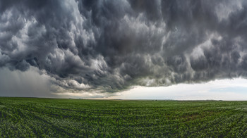 Storm Front / ***