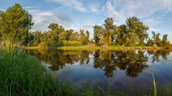 Ruhige Sommerabend / ***