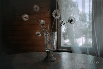 Auf die Clearance / ***