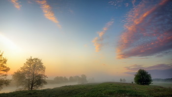 Sommermorgen / ***