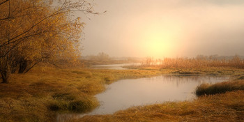 Auf der Wiese ... / ***