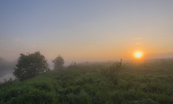 Nebliger Morgen / ***