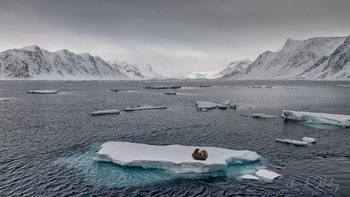 Mutter und Kind / ***