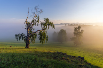 Morgendämmerung / ***