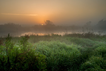 Morgen Stille / ***