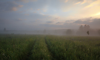 Sommermorgen. / ***