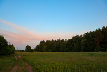 Evening road / ***