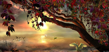 Morgendämmerung / ***