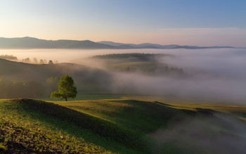 Morgennebel / ***