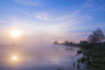 Nebel in der Morgendämmerung. / ***