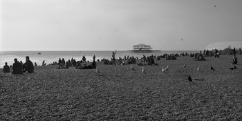 &nbsp; / Brighton