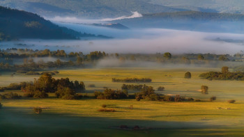 Ströme von Milch / ***