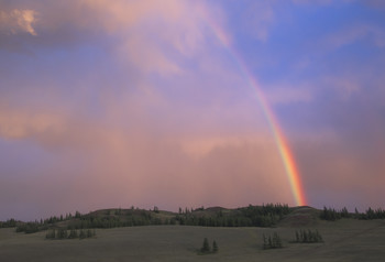 &nbsp; / ***