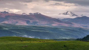 Am späten Nachmittag / ***