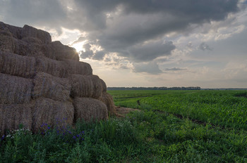 Abend auf dem Gebiet / ***