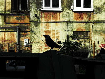 Etüde / 2015-07-07-328-C0-036(82)+C