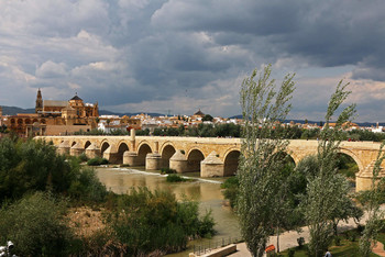 Roman Bridge / ***