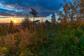 Morgen Rays / ***