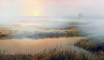 Morgendämmerung / ***