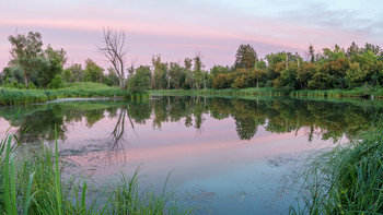 Abend auf dem See / ***