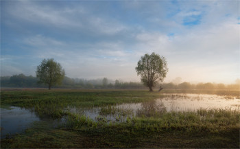 Nach dem Regen / ***