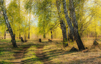 Frühling Sommer / ***